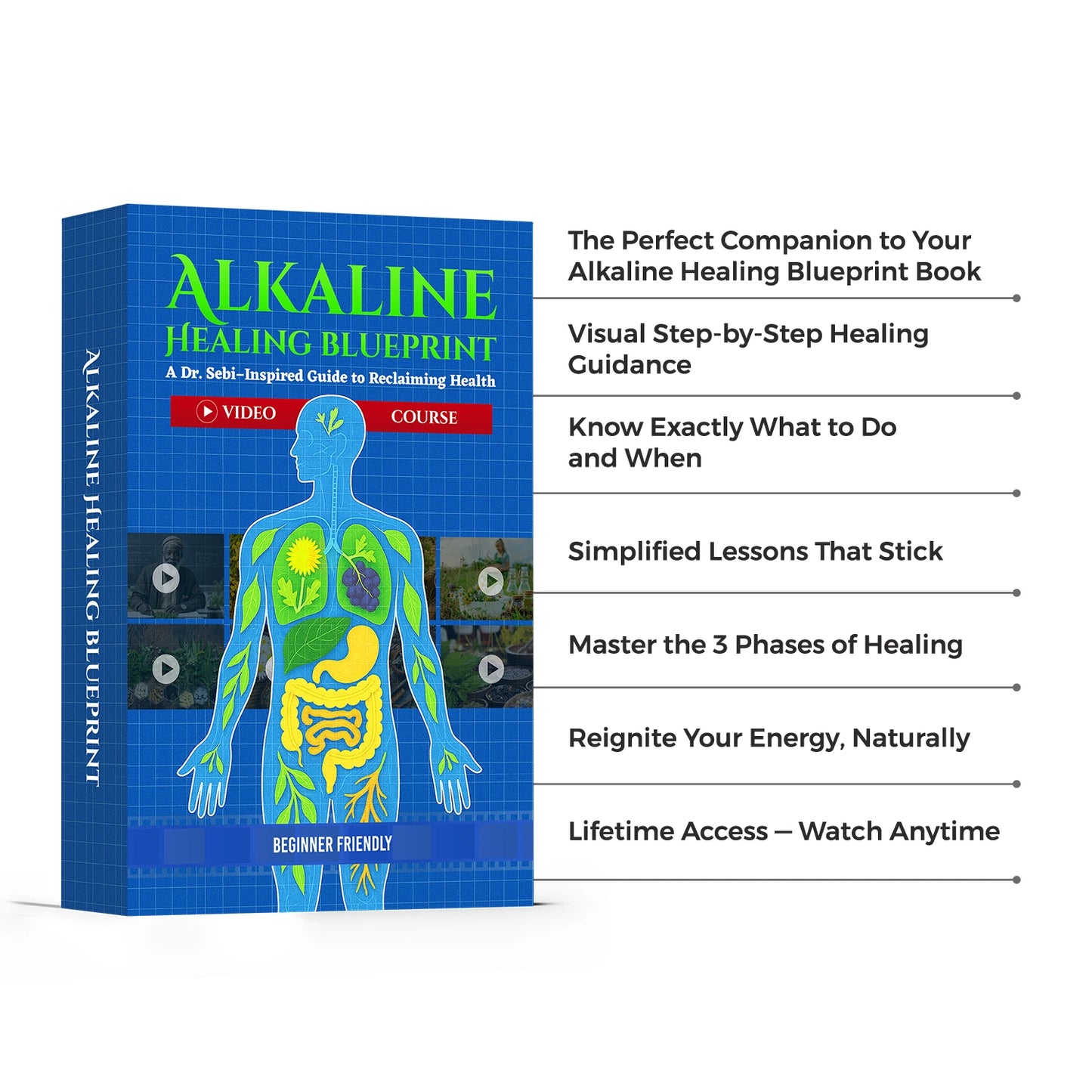 The Alkaline Healing Blueprint Video Course + Community
