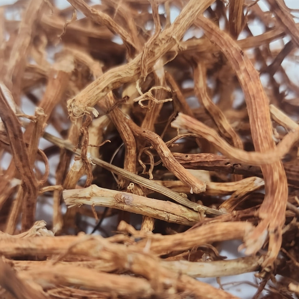 Jamaican Sarsaparilla Root | Detox, Joint & Vitality Support