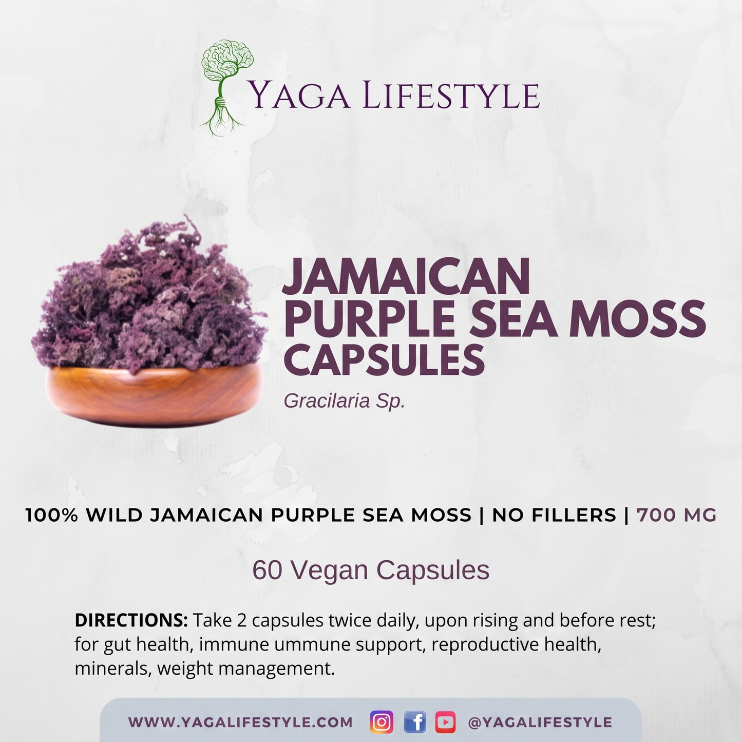Jamaican Purple Sea Moss Capsules | 60 Vegan Capsules