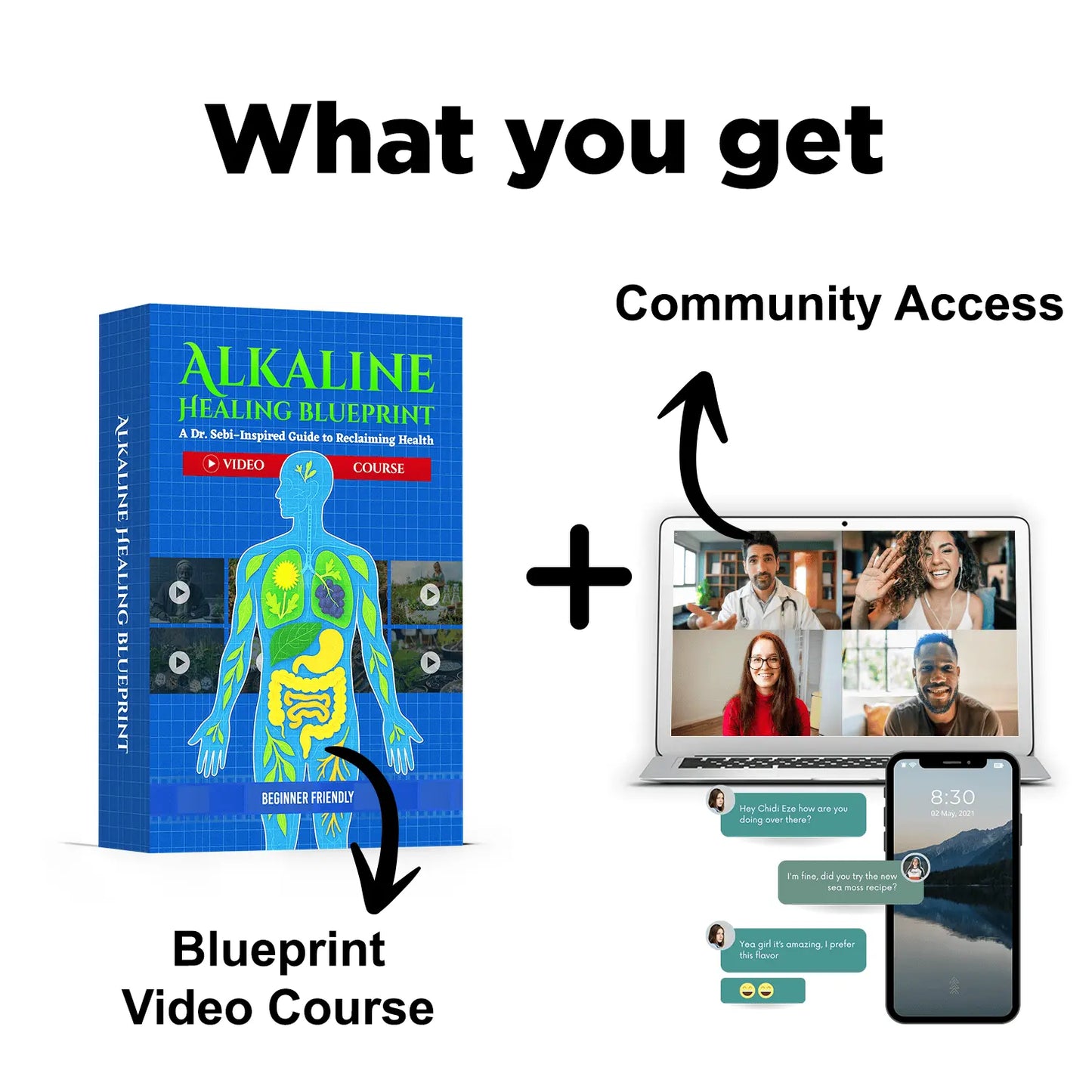 The Alkaline Healing Blueprint Video Course + Community