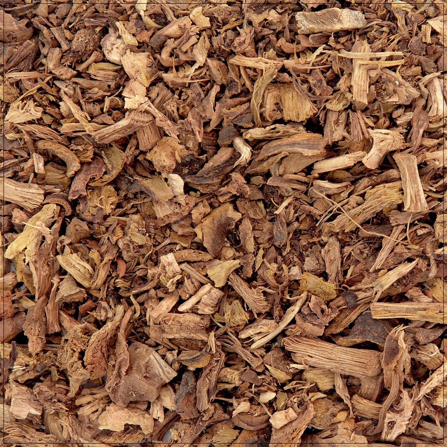 Yellow Dock Root (Rumex crispus)
