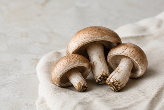 Three pale brown cap mushrooms growing together
