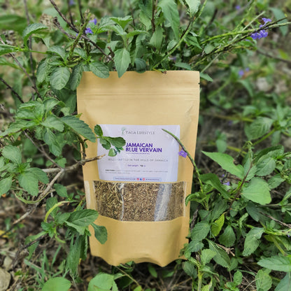 Jamaican Blue Vervain (Wildcrafted)