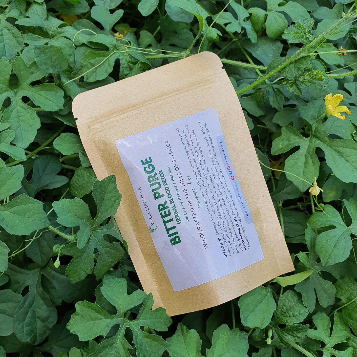 Bitter Purge Herbal Detox - Alkaline Blood Cleansing Herbs