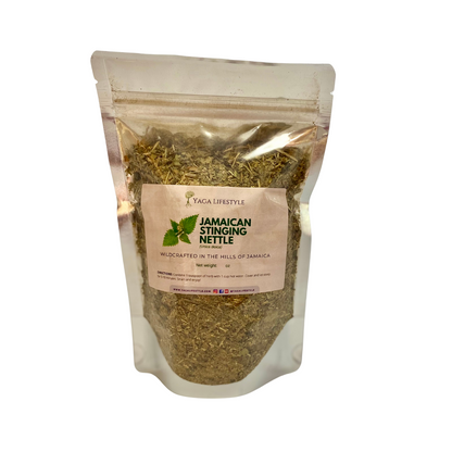 Jamaican Stinging Nettle