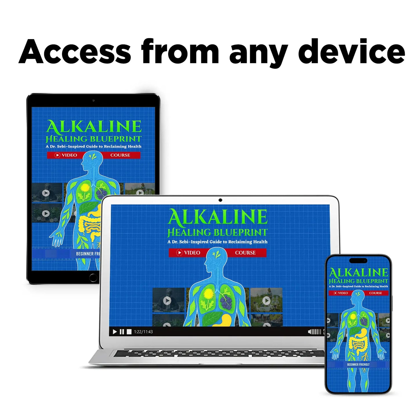 The Alkaline Healing Blueprint Video Course + Community