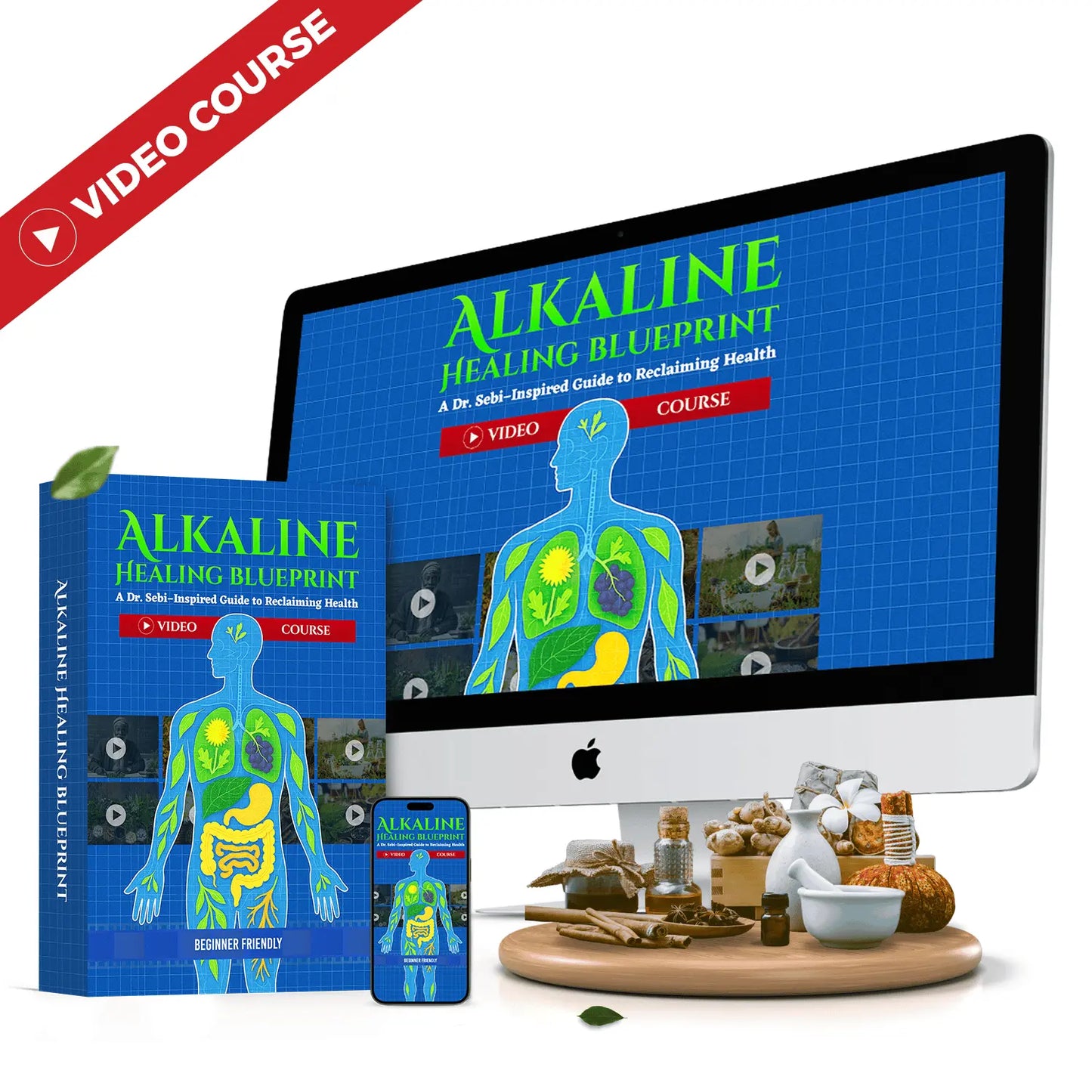The Alkaline Healing Blueprint Video Course + Community