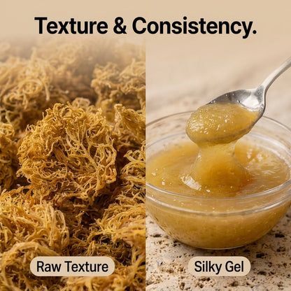 Jamaican Gold Irish Sea Moss