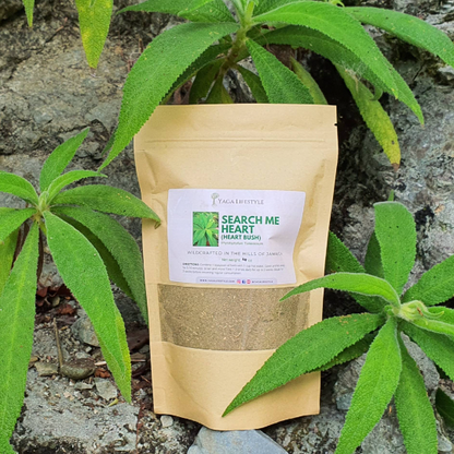Jamaican Search Me Heart (Heart Bush) 1 oz