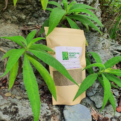 Jamaican Search Me Heart (Heart Bush) 1 oz