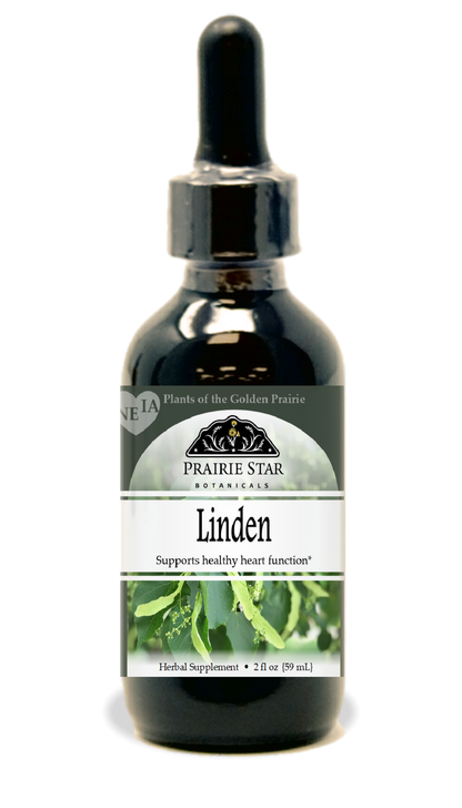 Linden