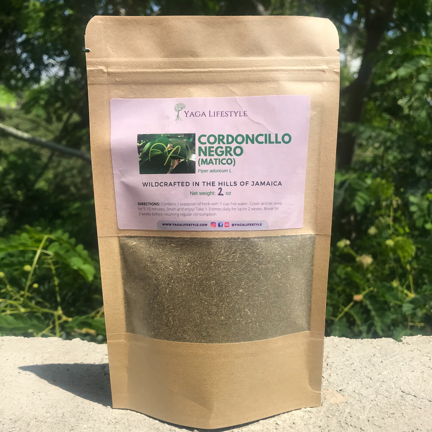 Cordoncillo Negro | Piper aduncum | Matico