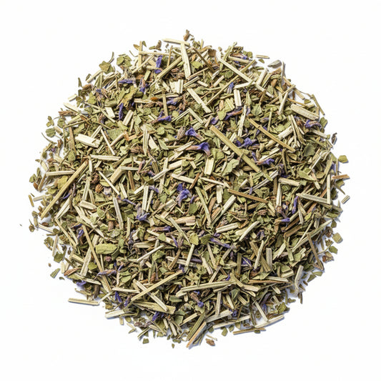 Blue Vervain | Nervous System Calm & Emotional Release