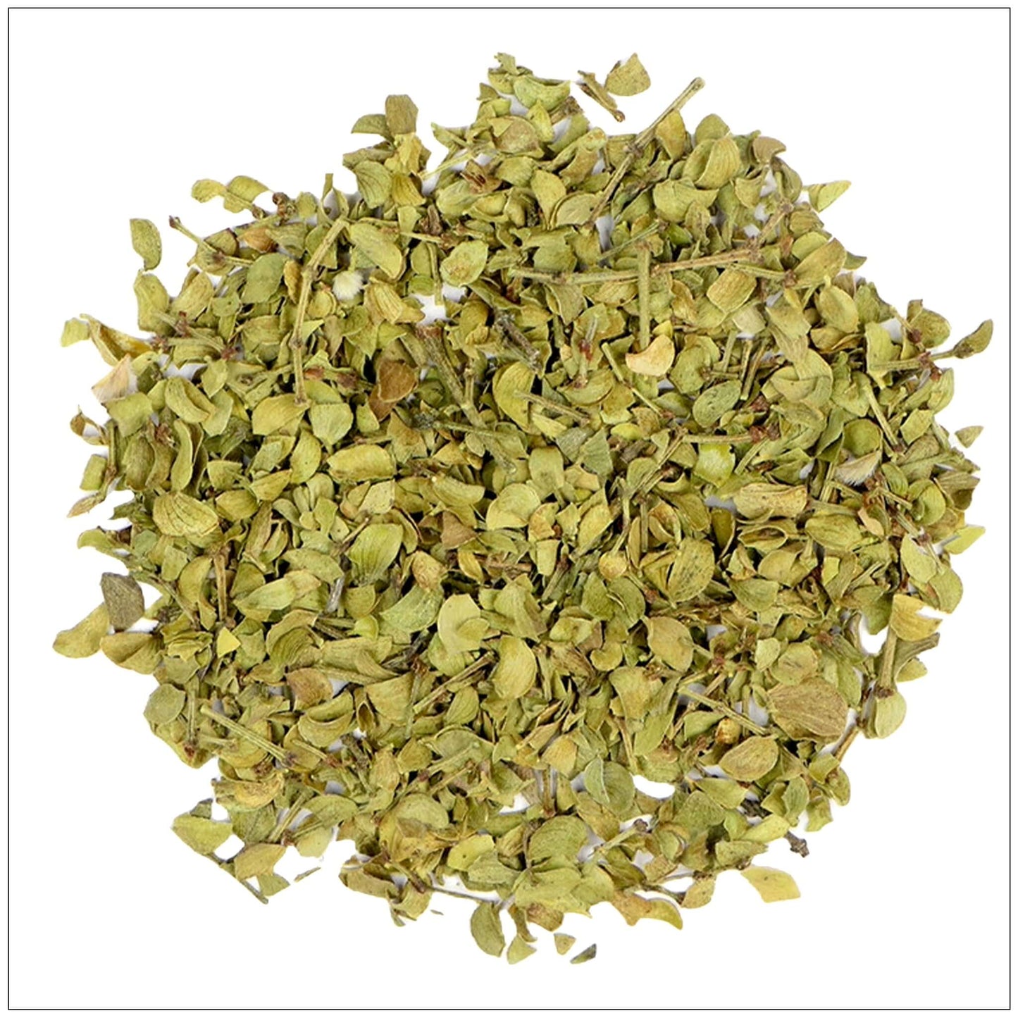 Chaparral Leaf
