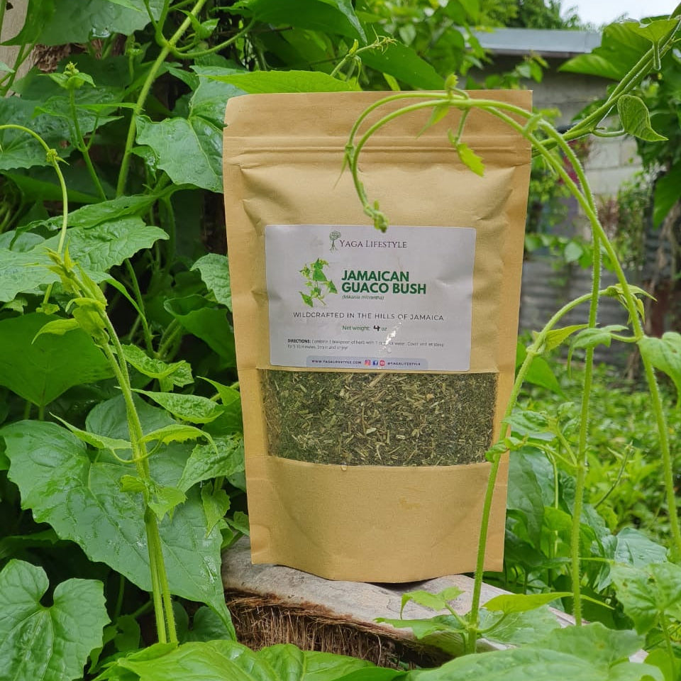 Jamaican Guaco Mikania (Wildcrafted, Air-Dried, Dr Sebi Approved Alkaline Herb)