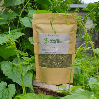 Jamaican Guaco Mikania (Wildcrafted, Air-Dried, Dr Sebi Approved Alkaline Herb)