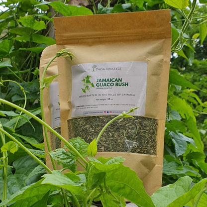 Jamaican Guaco Mikania (Wildcrafted, Air-Dried, Dr Sebi Approved Alkaline Herb)