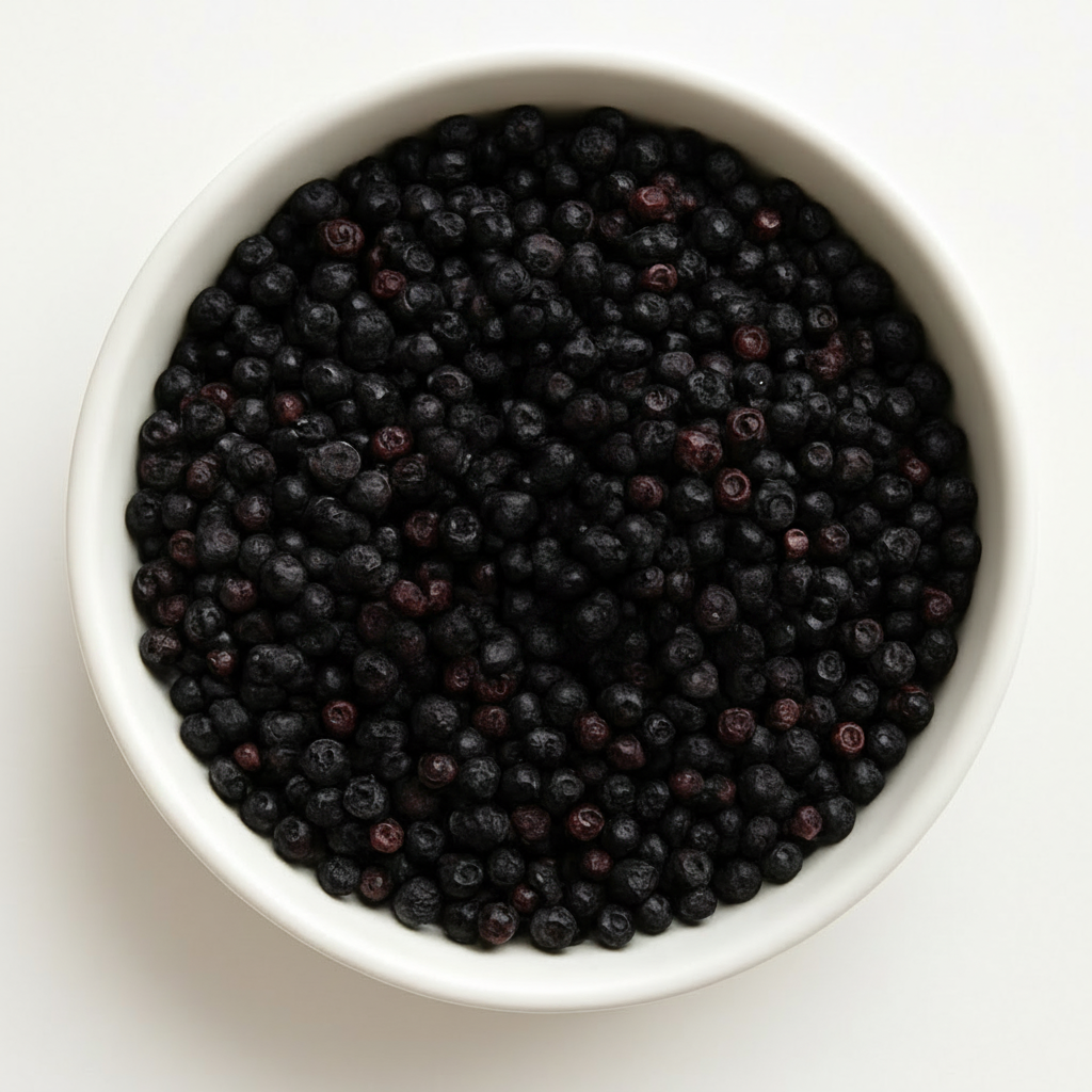 Elderberry | Immune Support & Seasonal Wellness