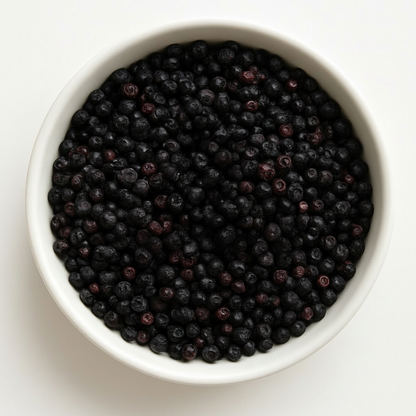 Elderberry | Immune Support & Seasonal Wellness