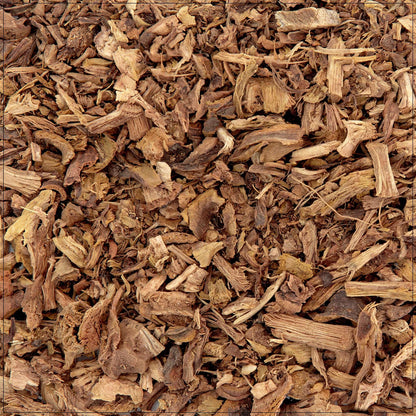 Yellow Dock Root (Rumex crispus)