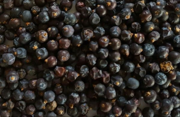 Organic Juniper Berries - Wildcrafted - Dr.Sebi Approved